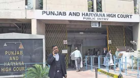 पंजाब एवं हरियाणा हाईकोर्ट बार एसोसिएशन  हड़ताल पर, जिला बार एसोसिएशनों से भी समर्थन की अपील